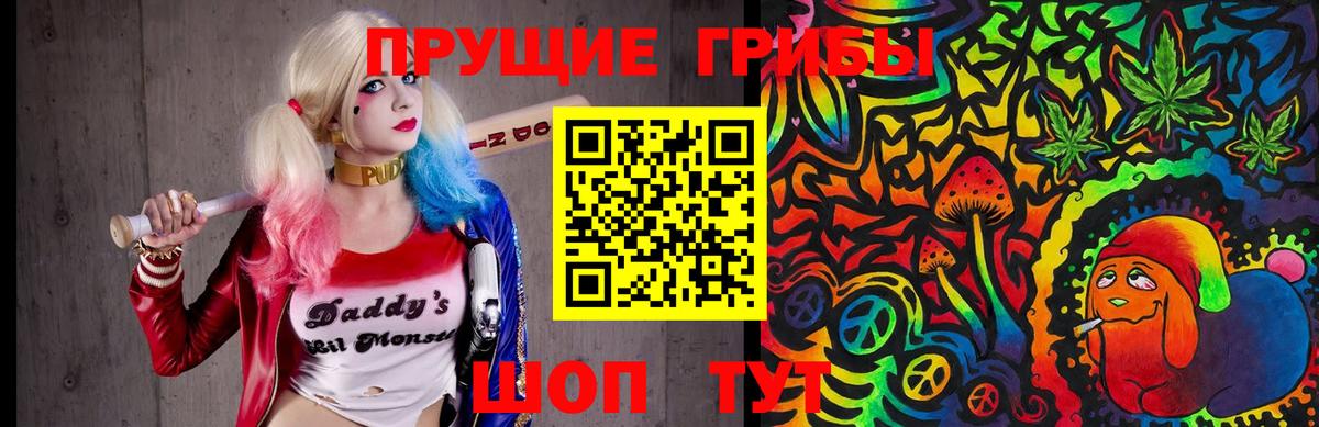 Псилоцибиновые грибы Cubensis Дальнереченск