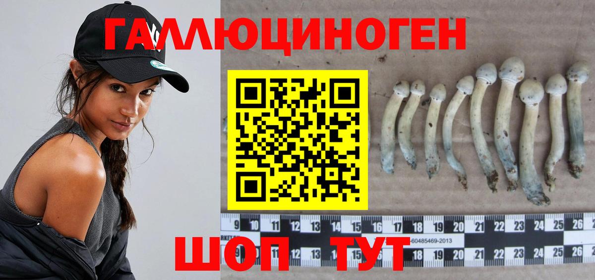 Псилоцибиновые грибы Cubensis  Вход с VPN  Дальнереченск  Галлюциногенные грибы ЛСД 